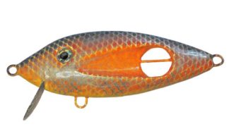 Les poissons-nageurs